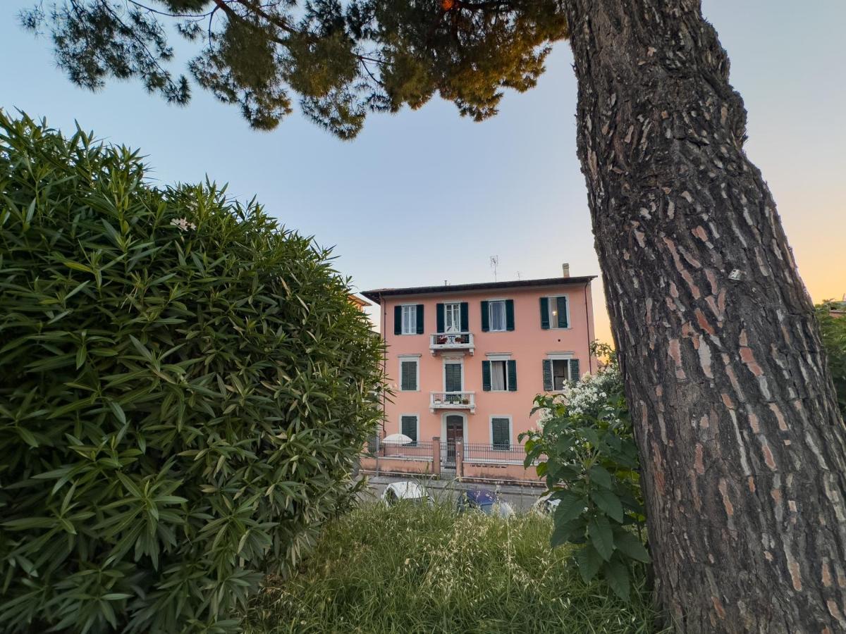 La Casa Di Eli Appartamenti Pisa Exterior foto